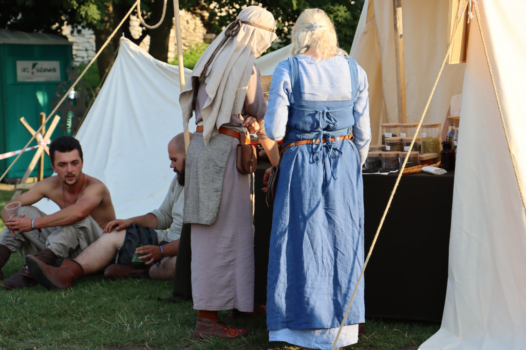 XVII najazd Barbarzyńców - Zamek Ogrodzieniec