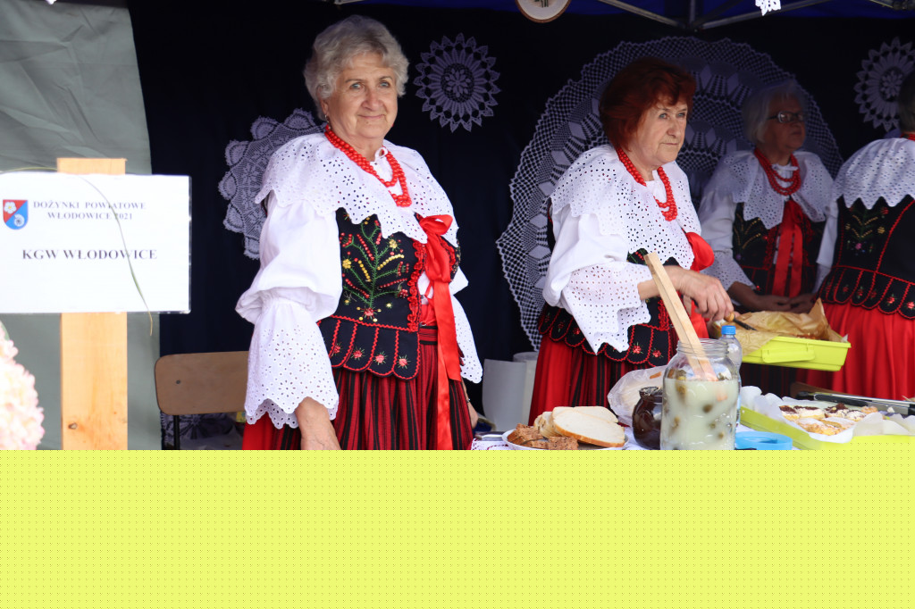 XXII Dożynki Powiatowe we Włodowicach