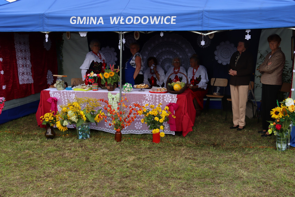XXII Dożynki Powiatowe we Włodowicach