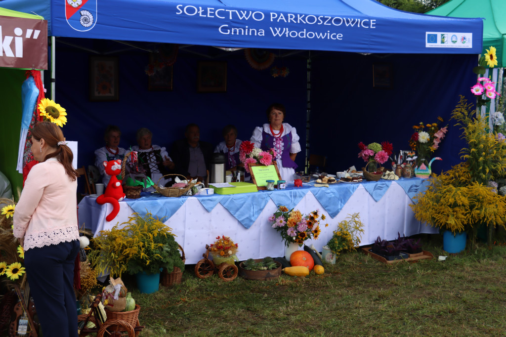 XXII Dożynki Powiatowe we Włodowicach