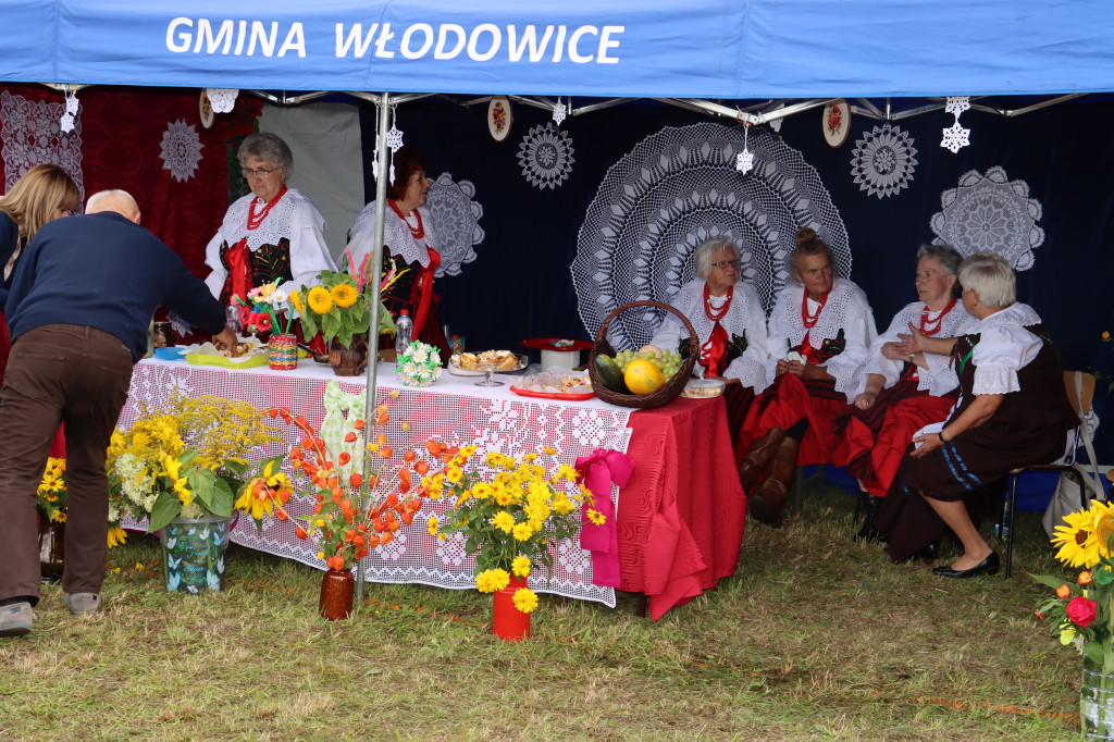 XXII Dożynki Powiatowe we Włodowicach