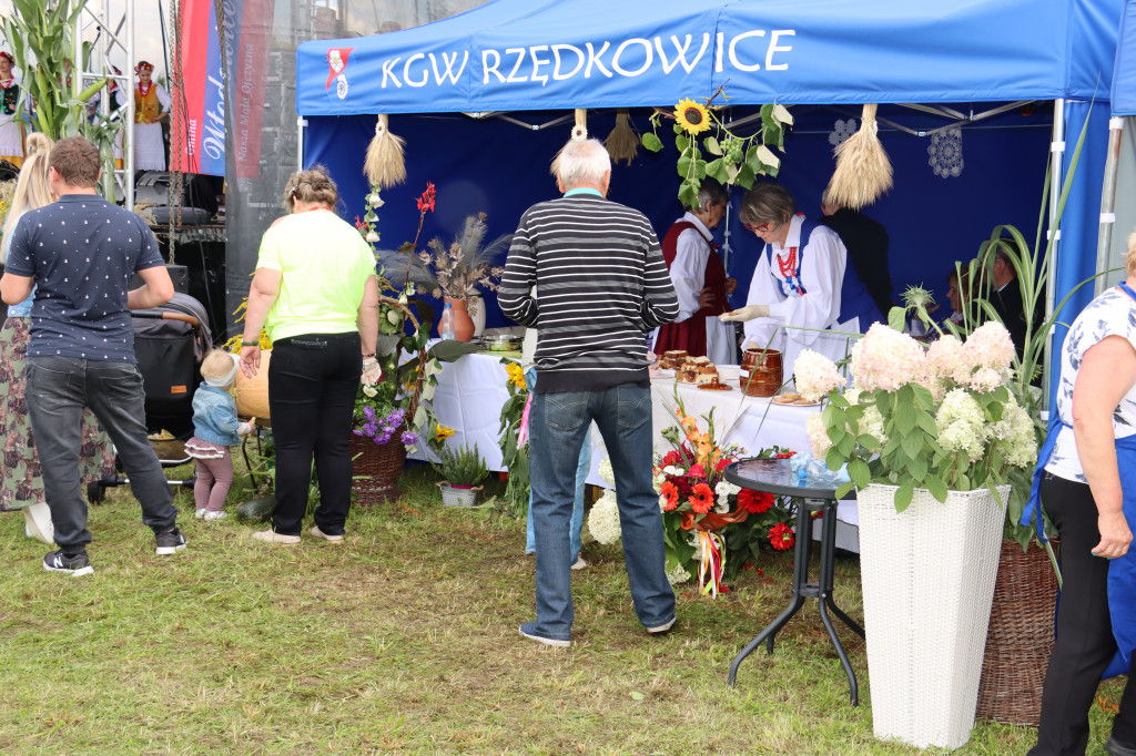 XXII Dożynki Powiatowe we Włodowicach