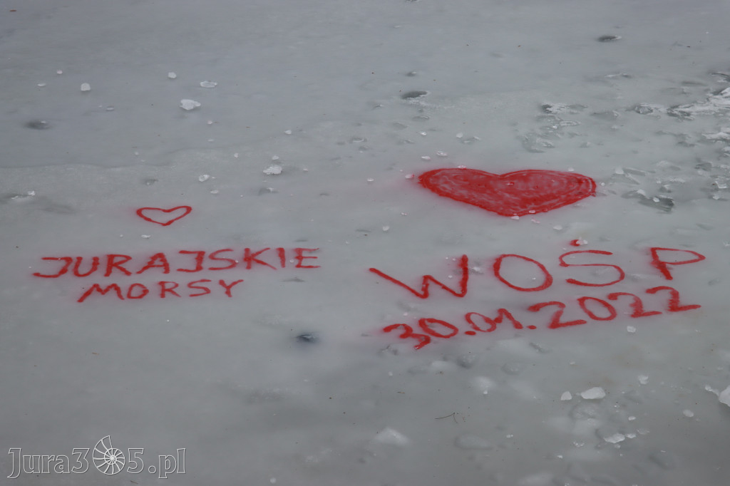 Jurajskie Morsy wpierają WOŚP