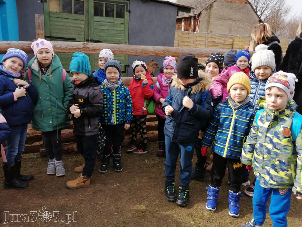 Dilusiowe Alpaki najlepszym sposobem na ponure dni