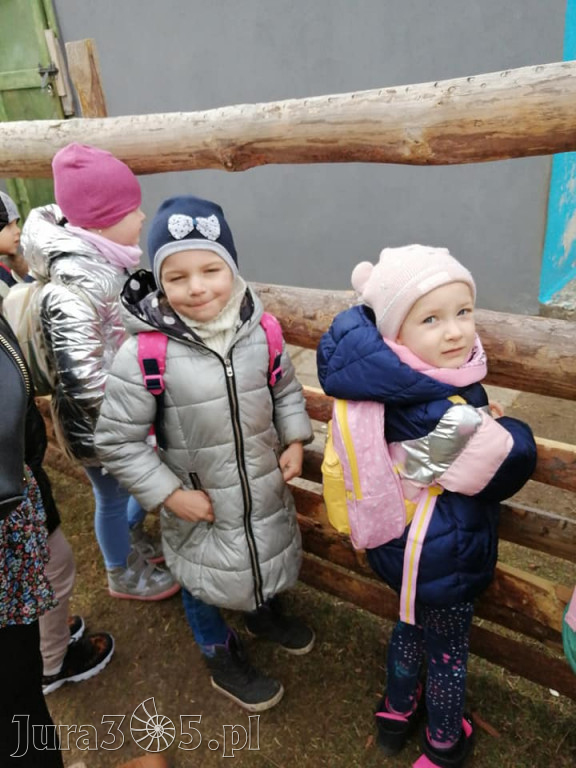 Dilusiowe Alpaki najlepszym sposobem na ponure dni