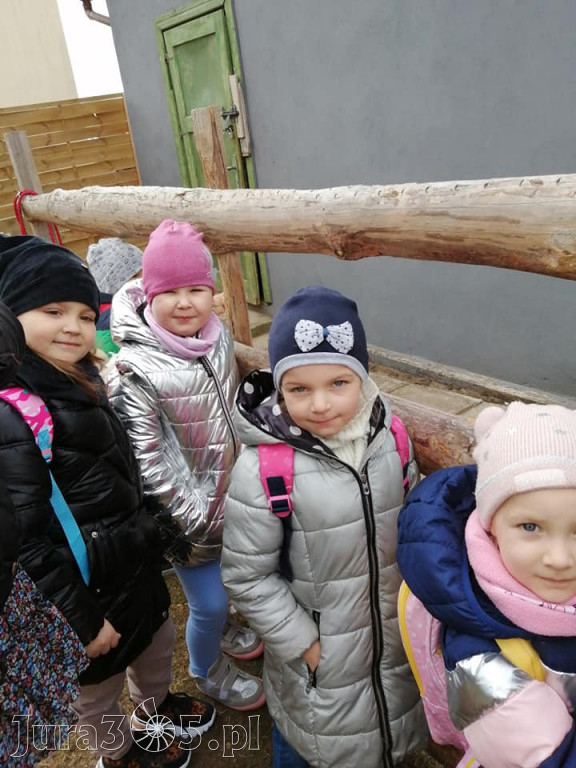Dilusiowe Alpaki najlepszym sposobem na ponure dni