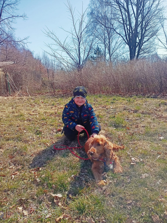 Dilusiowe Alpaki najlepszym sposobem na ponure dni