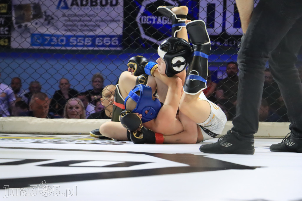 Za nami Gala Octagon Fight League 11 zdjęcia część 1 Zapraszamy do oglądania