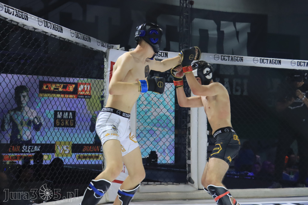 Za nami Gala Octagon Fight League 11 zdjęcia część 1 Zapraszamy do oglądania