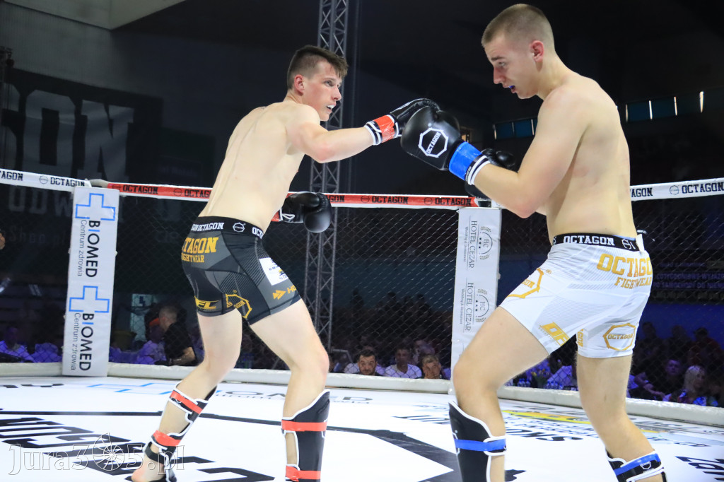 Za nami Gala Octagon Fight League 11 zdjęcia część 1 Zapraszamy do oglądania