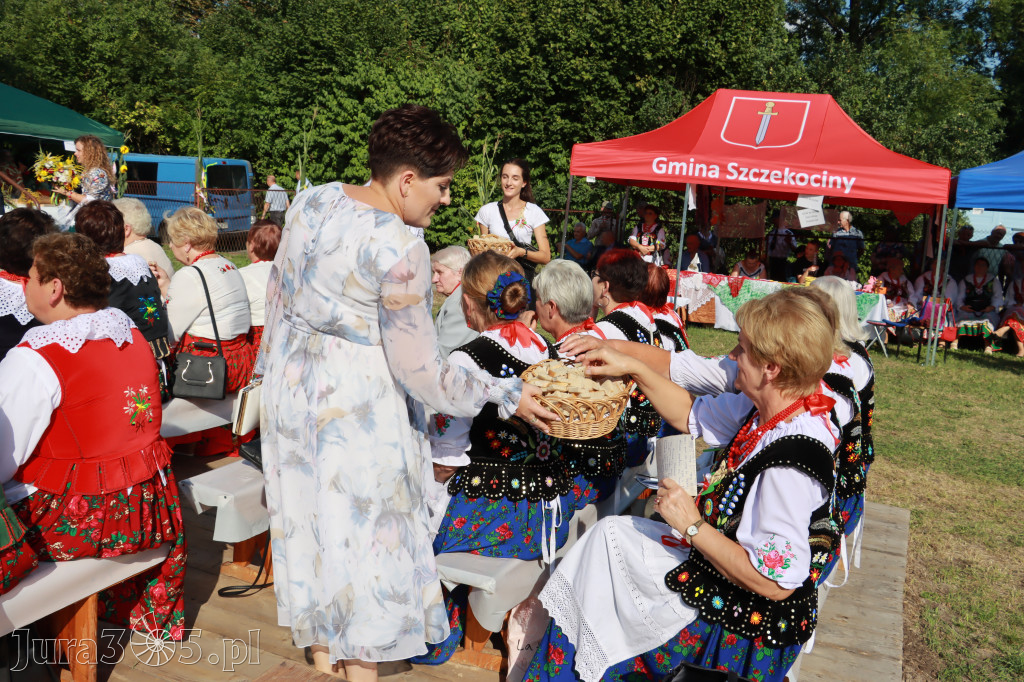 Dożynki Gminne w Drużykowie - gmina Szczekociny