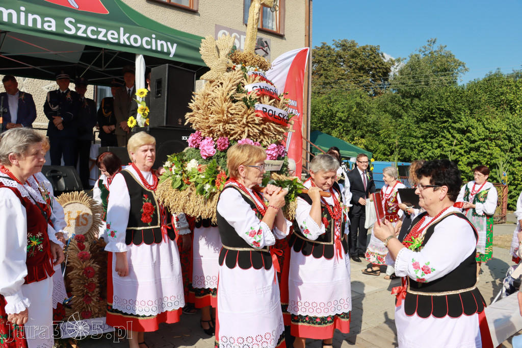 Dożynki Gminne w Drużykowie - gmina Szczekociny