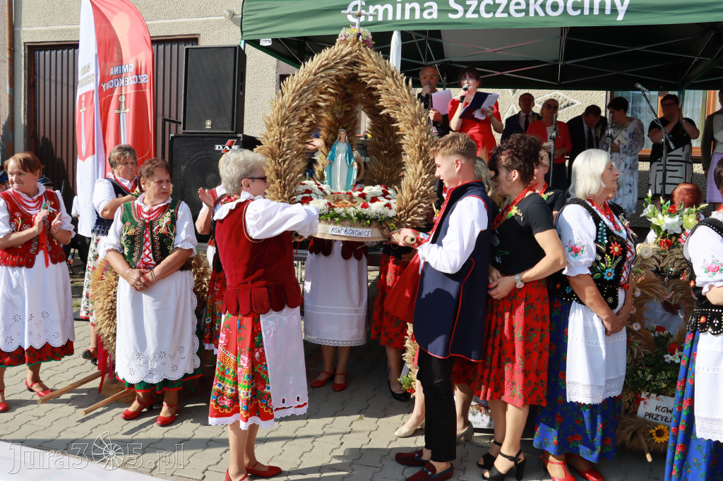 Dożynki Gminne w Drużykowie - gmina Szczekociny