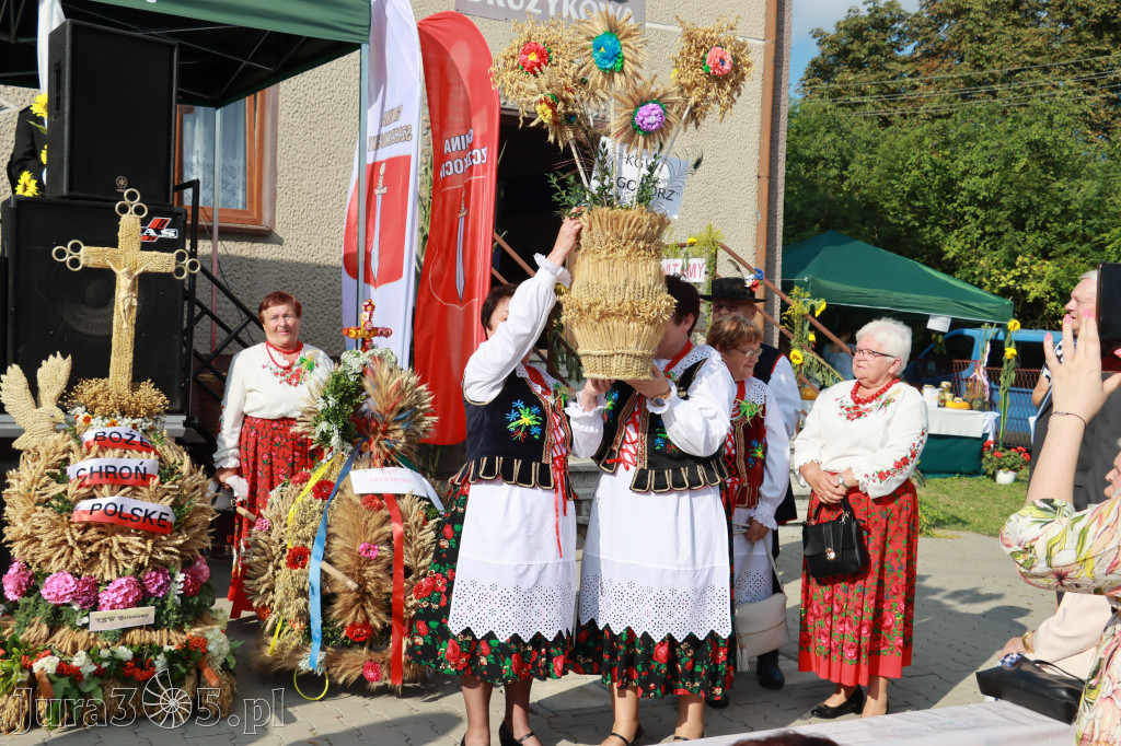 Dożynki Gminne w Drużykowie - gmina Szczekociny