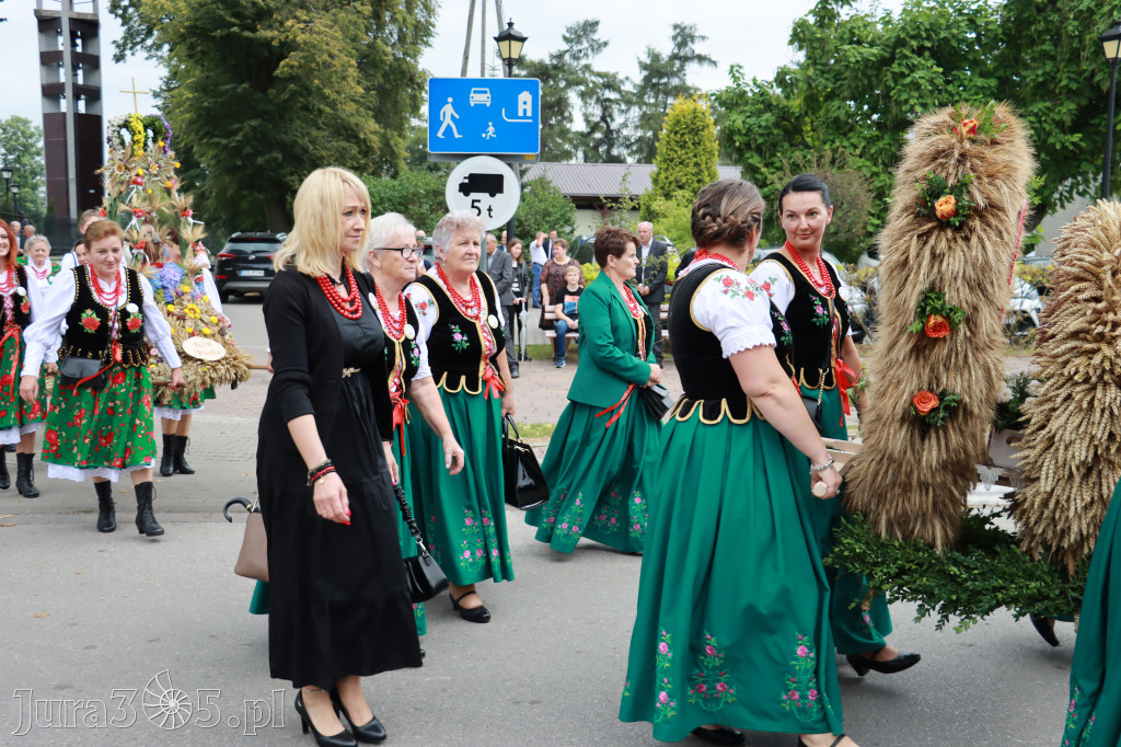 Święto Porzeczki oraz Święto Plonów w Irządzach