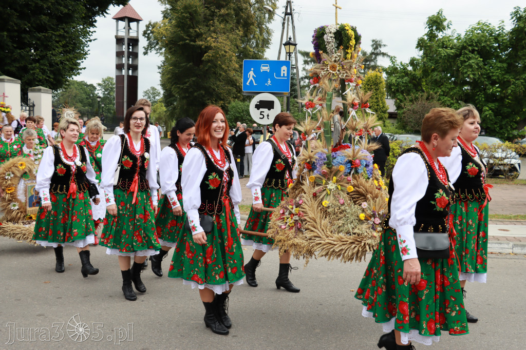Święto Porzeczki oraz Święto Plonów w Irządzach