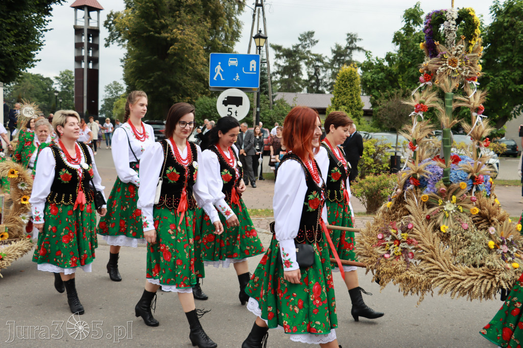 Święto Porzeczki oraz Święto Plonów w Irządzach