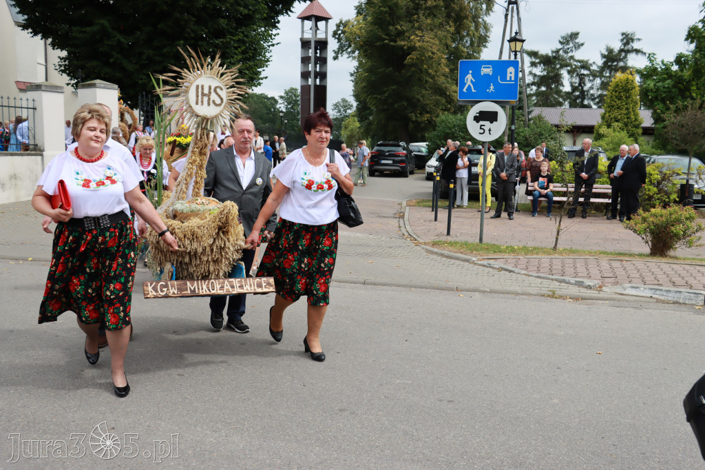 Święto Porzeczki oraz Święto Plonów w Irządzach
