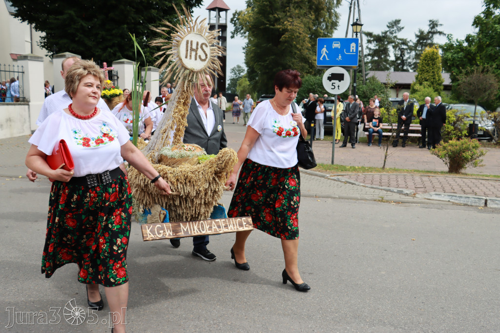 Święto Porzeczki oraz Święto Plonów w Irządzach