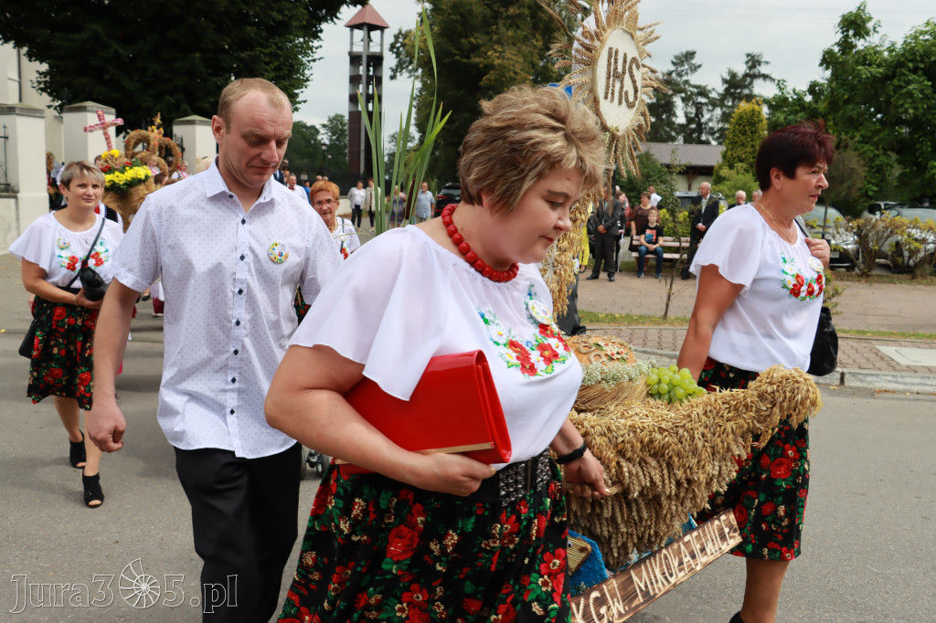 Święto Porzeczki oraz Święto Plonów w Irządzach