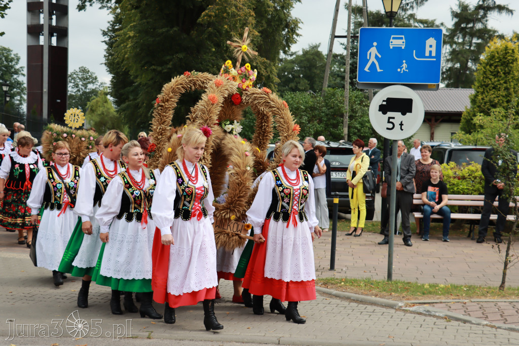 Święto Porzeczki oraz Święto Plonów w Irządzach