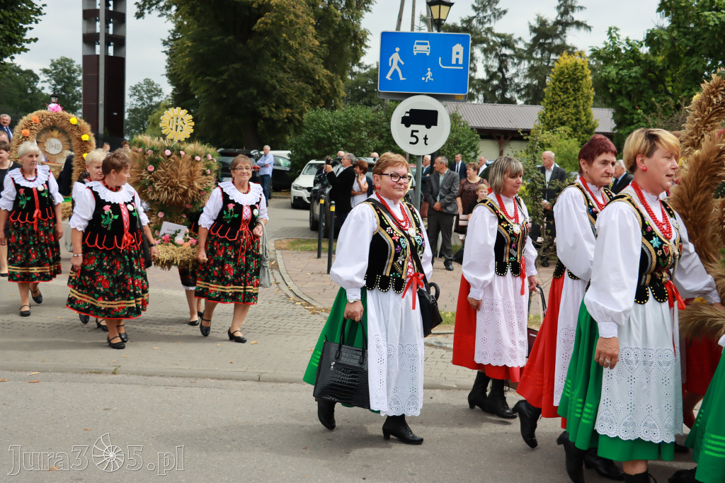 Święto Porzeczki oraz Święto Plonów w Irządzach
