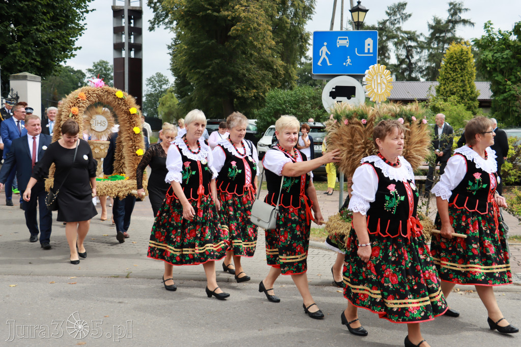 Święto Porzeczki oraz Święto Plonów w Irządzach