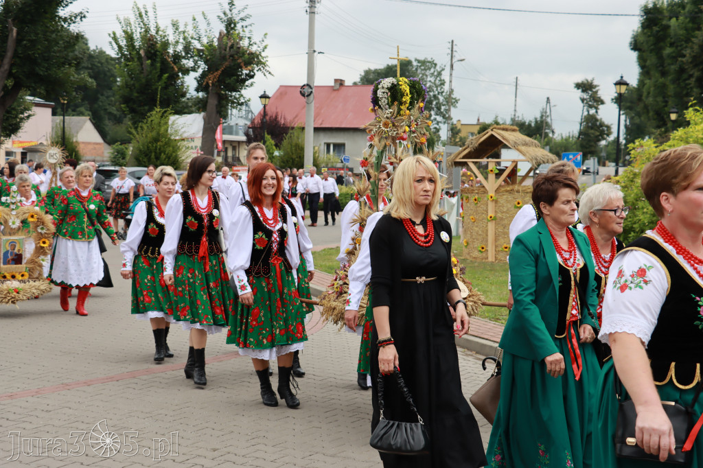 Święto Porzeczki oraz Święto Plonów w Irządzach