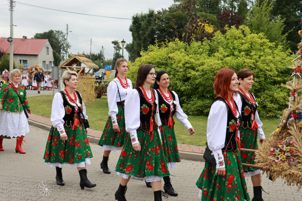 Święto Porzeczki oraz Święto Plonów w Irządzach