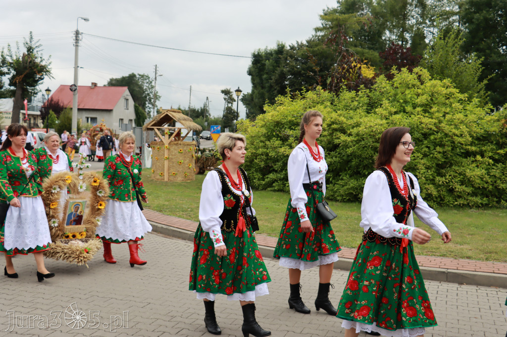 Święto Porzeczki oraz Święto Plonów w Irządzach