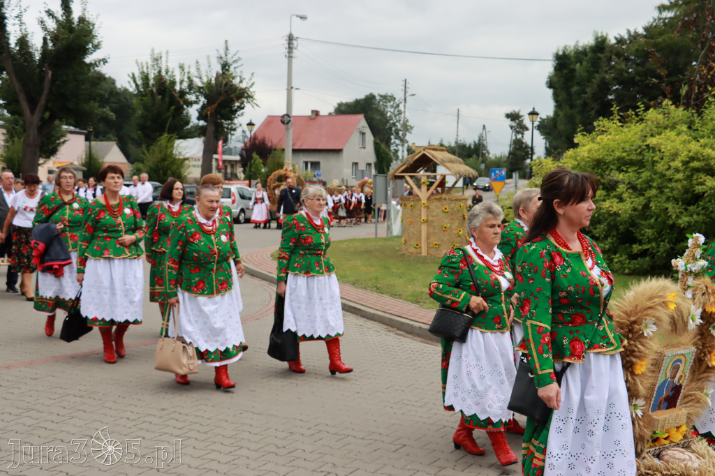 Święto Porzeczki oraz Święto Plonów w Irządzach