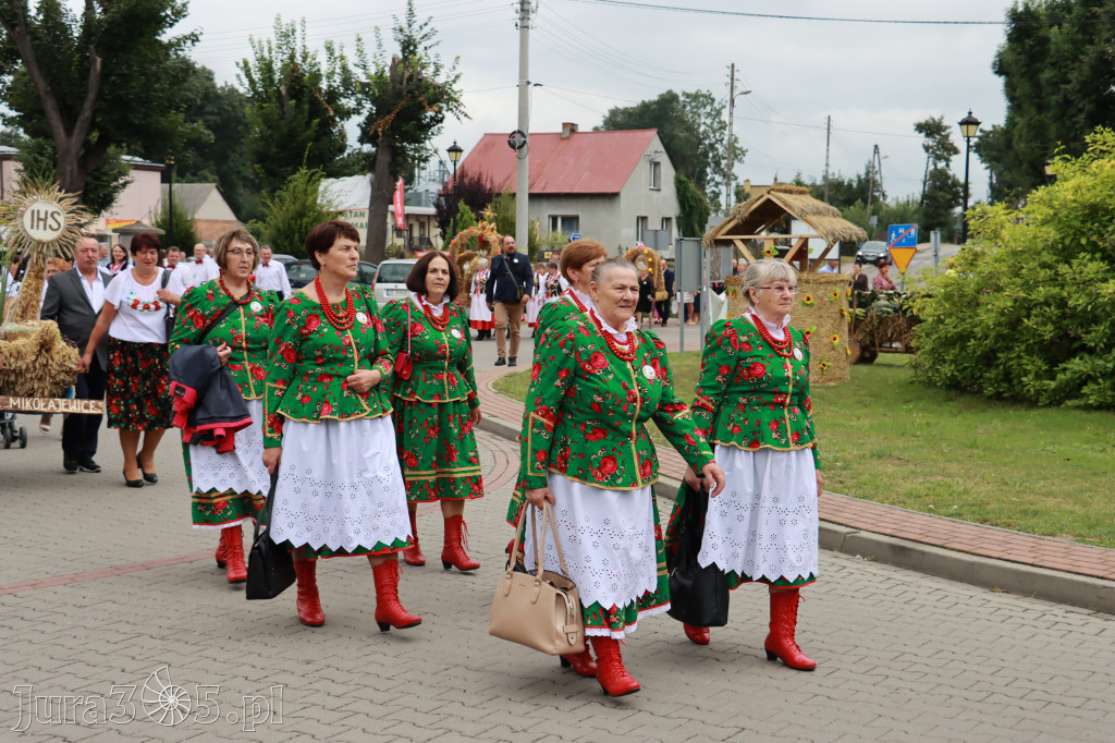 Święto Porzeczki oraz Święto Plonów w Irządzach
