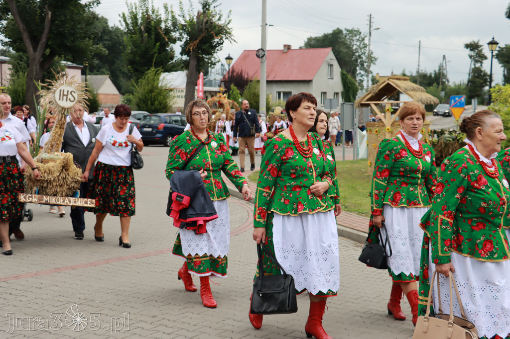 Święto Porzeczki oraz Święto Plonów w Irządzach