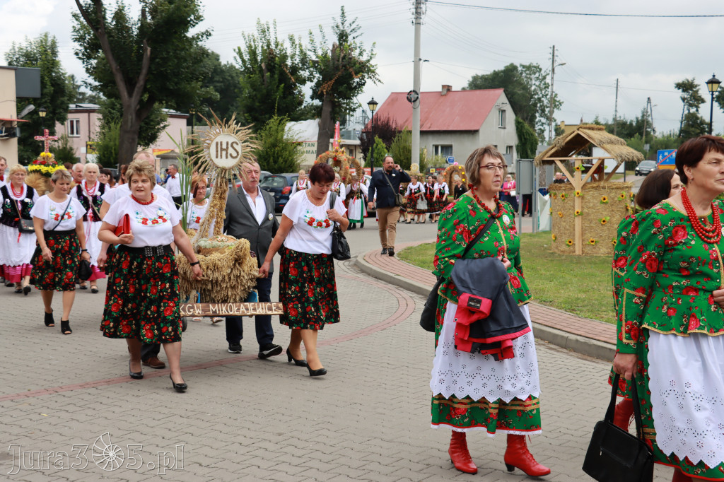 Święto Porzeczki oraz Święto Plonów w Irządzach