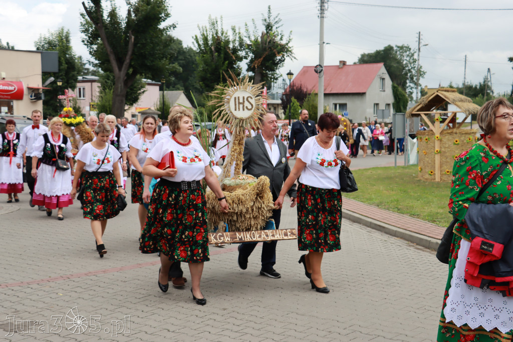 Święto Porzeczki oraz Święto Plonów w Irządzach