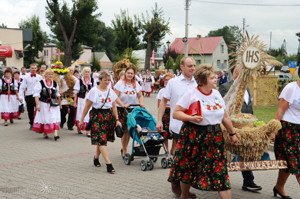 Święto Porzeczki oraz Święto Plonów w Irządzach