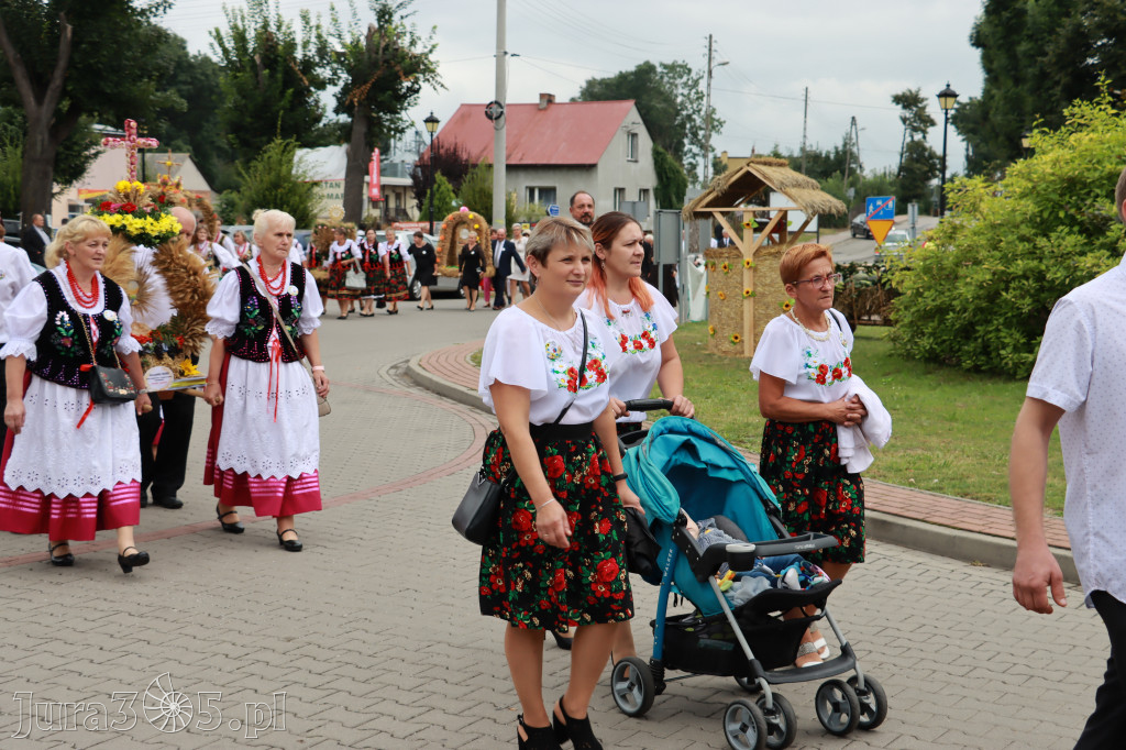 Święto Porzeczki oraz Święto Plonów w Irządzach