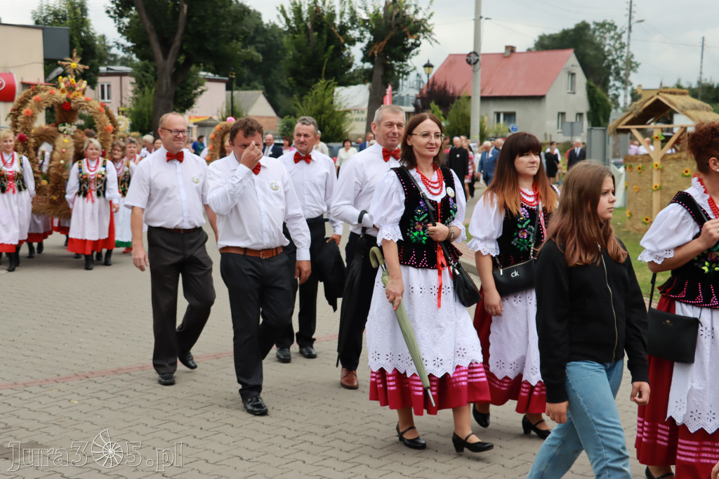 Święto Porzeczki oraz Święto Plonów w Irządzach