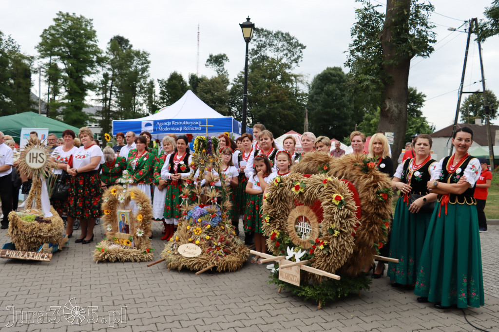 Święto Porzeczki oraz Święto Plonów w Irządzach