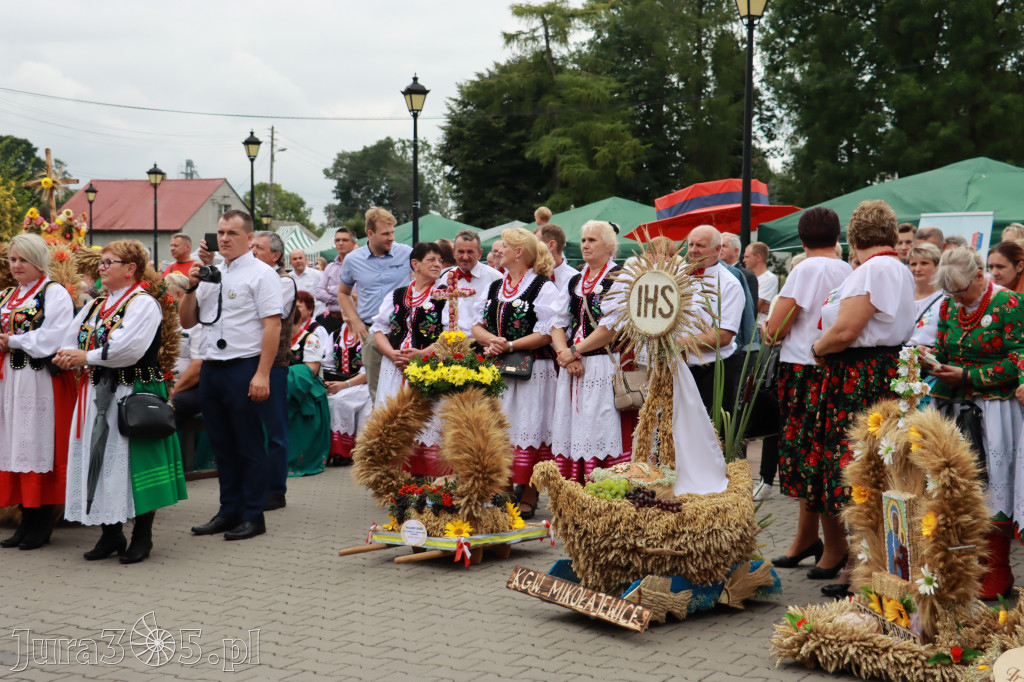 Święto Porzeczki oraz Święto Plonów w Irządzach