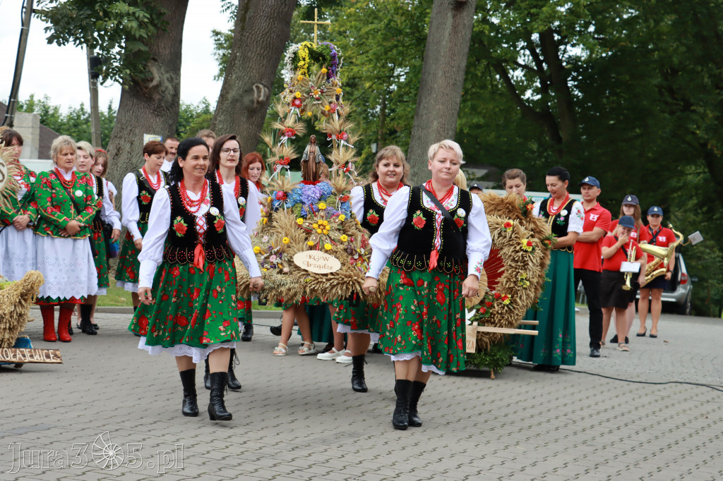Święto Porzeczki oraz Święto Plonów w Irządzach