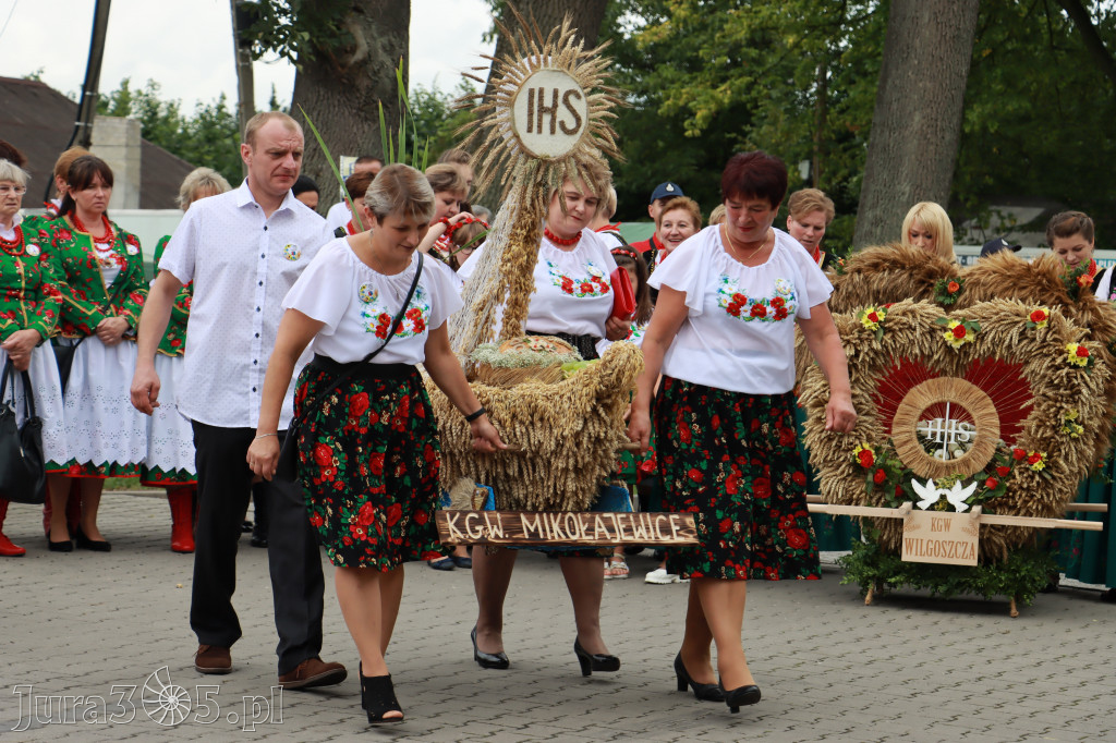 Święto Porzeczki oraz Święto Plonów w Irządzach