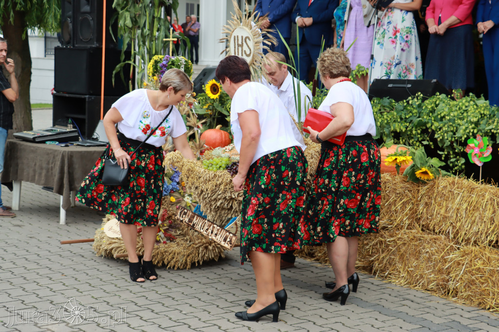 Święto Porzeczki oraz Święto Plonów w Irządzach