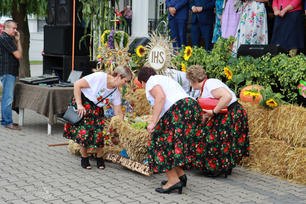 Święto Porzeczki oraz Święto Plonów w Irządzach