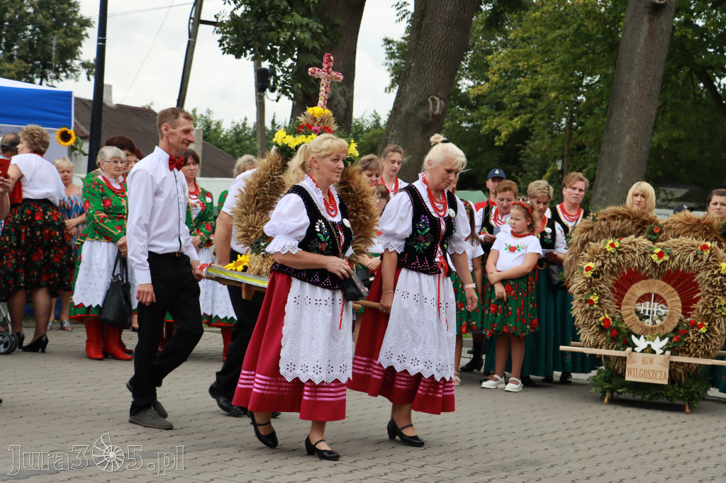 Święto Porzeczki oraz Święto Plonów w Irządzach