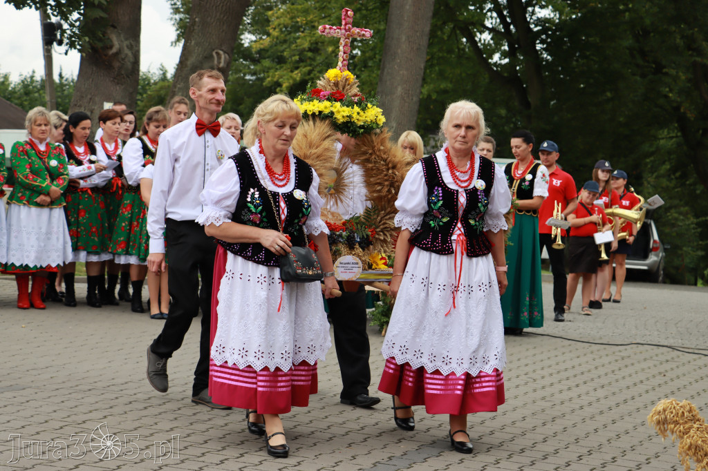 Święto Porzeczki oraz Święto Plonów w Irządzach