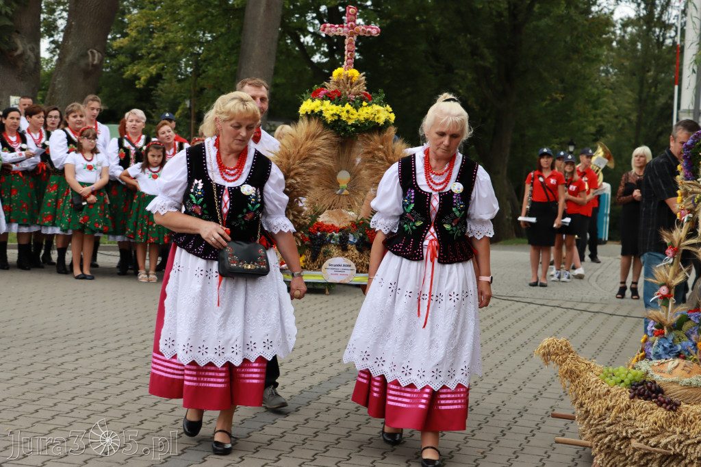 Święto Porzeczki oraz Święto Plonów w Irządzach