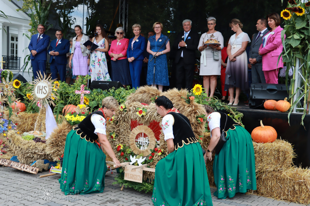Święto Porzeczki oraz Święto Plonów w Irządzach