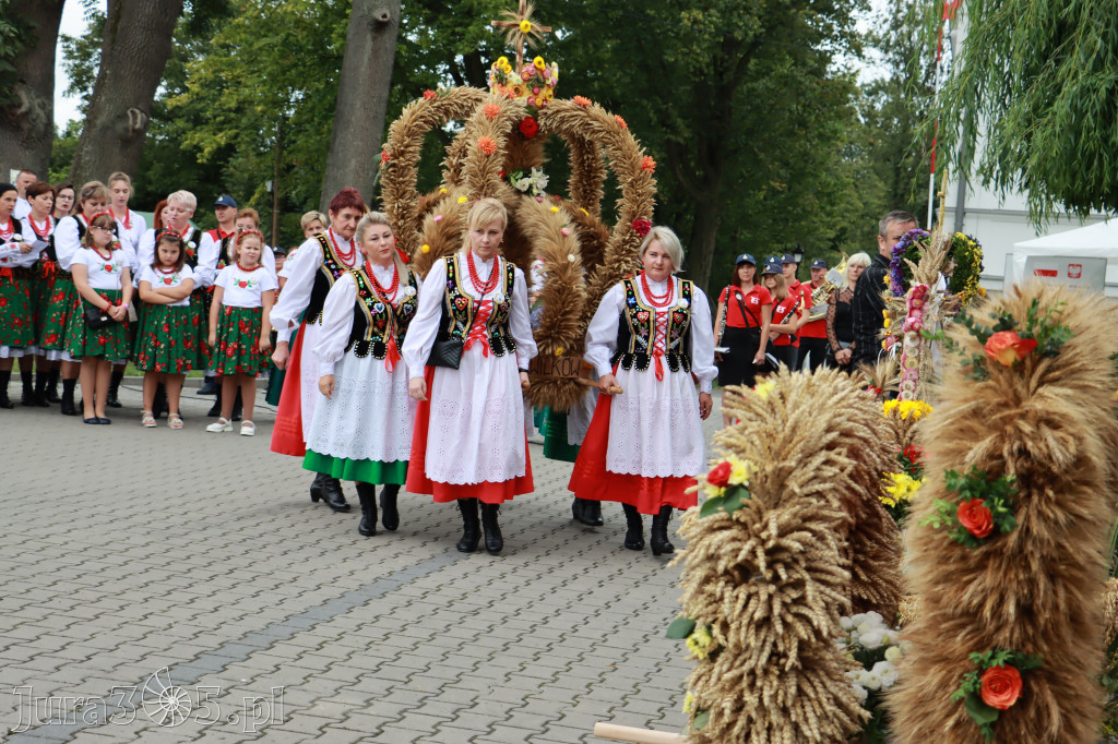 Święto Porzeczki oraz Święto Plonów w Irządzach