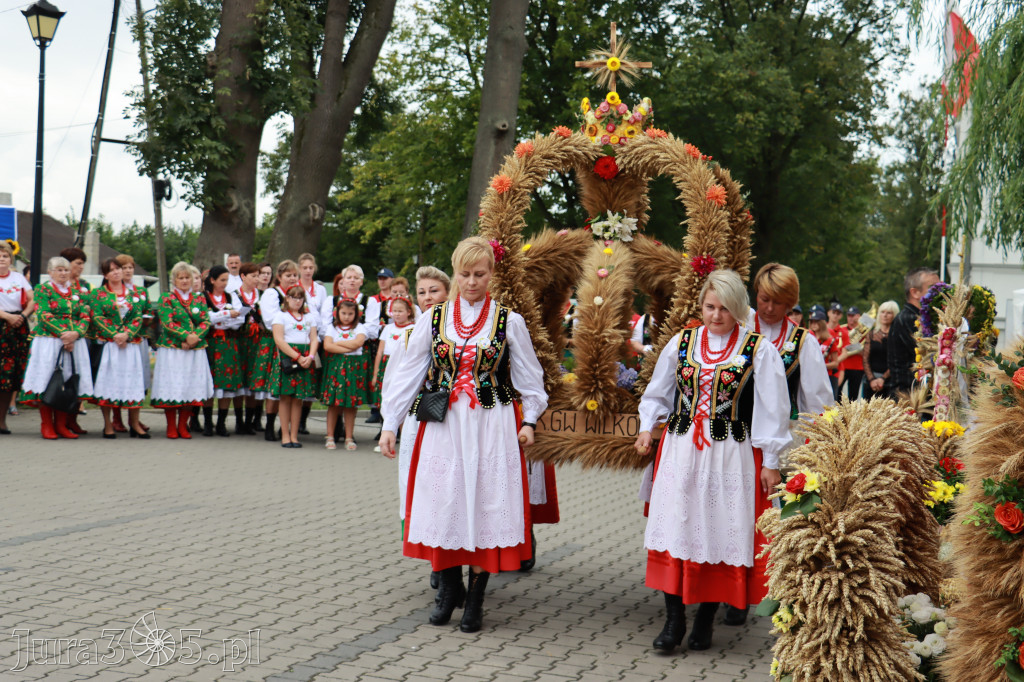 Święto Porzeczki oraz Święto Plonów w Irządzach